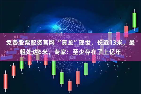 免费股票配资官网 “真龙”现世，长近13米，最粗处达6米，专家：至少存在了上亿年